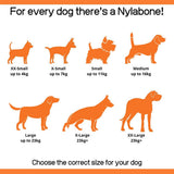 Nylabone Extreme Chew Shish Kebab Chicken - product detail image available online in South Africa