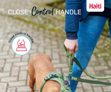 Halti Active Bungee & Hands-Free Lead (Black, Large)