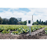 Davis Wireless Leaf & Soil Moisture Temperature Station for Vantage Pro2 Weather Station