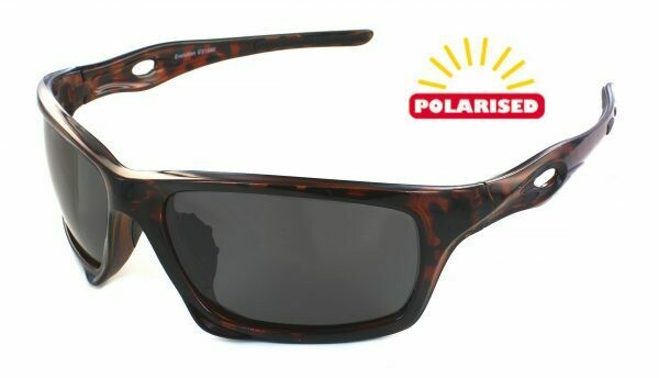 Evolution Treviso Tortoise