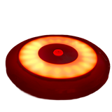 Flex Interior LED Light