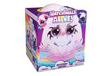 Hatchimals Alive Secret Hatch Pandoo