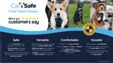 Company of Animals CarSafe Crash-Tested Harness (Blue, Large)