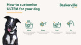 Company of Animals Safe and Secure Muzzle (Size 4)