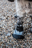 Dog Boot - X-Large Size 4 - Image 4