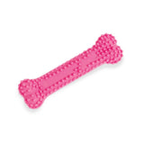 Nylabone Puppy Dental Bone - product detail image shipping in South Africa
