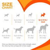 Nylabone Puppy Starter Kit Chew & Toy (3-pack, Small)
