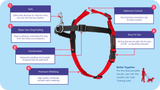 Halti Front Control Harness (Black/Red, Small)