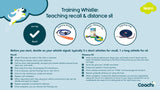 Training whistle guide