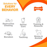 Nylabone Moderate Dental Chew (Chicken, Medium)