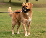 Company of Animals Safe and Secure Muzzle (Size 4)