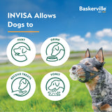 Company of Animals Baskerville Invisa Muzzle (Size 4)