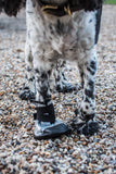 Dog Boot - Medium Size 2 - Image 6