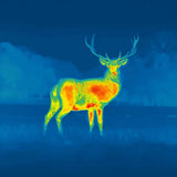 Nocpix Lumi L19 Thermal Vision Monocular