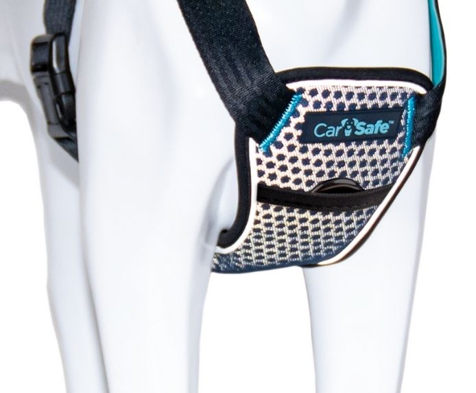 Company of Animals CarSafe Crash-Tested Harness (Blue, Small)