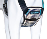 Company of Animals CarSafe Crash-Tested Harness (Blue, Small)