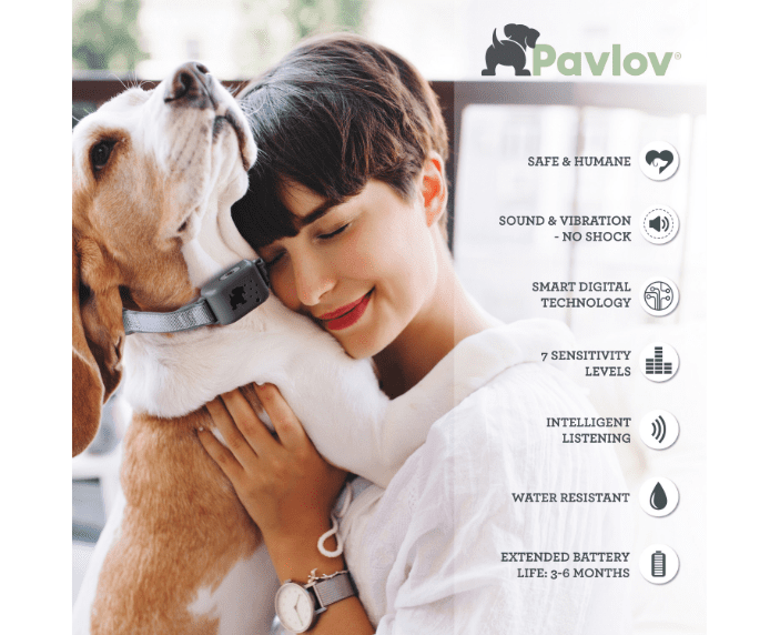 Company of Animals Pavlov Digital No Bark Collar (No Shock, Small)