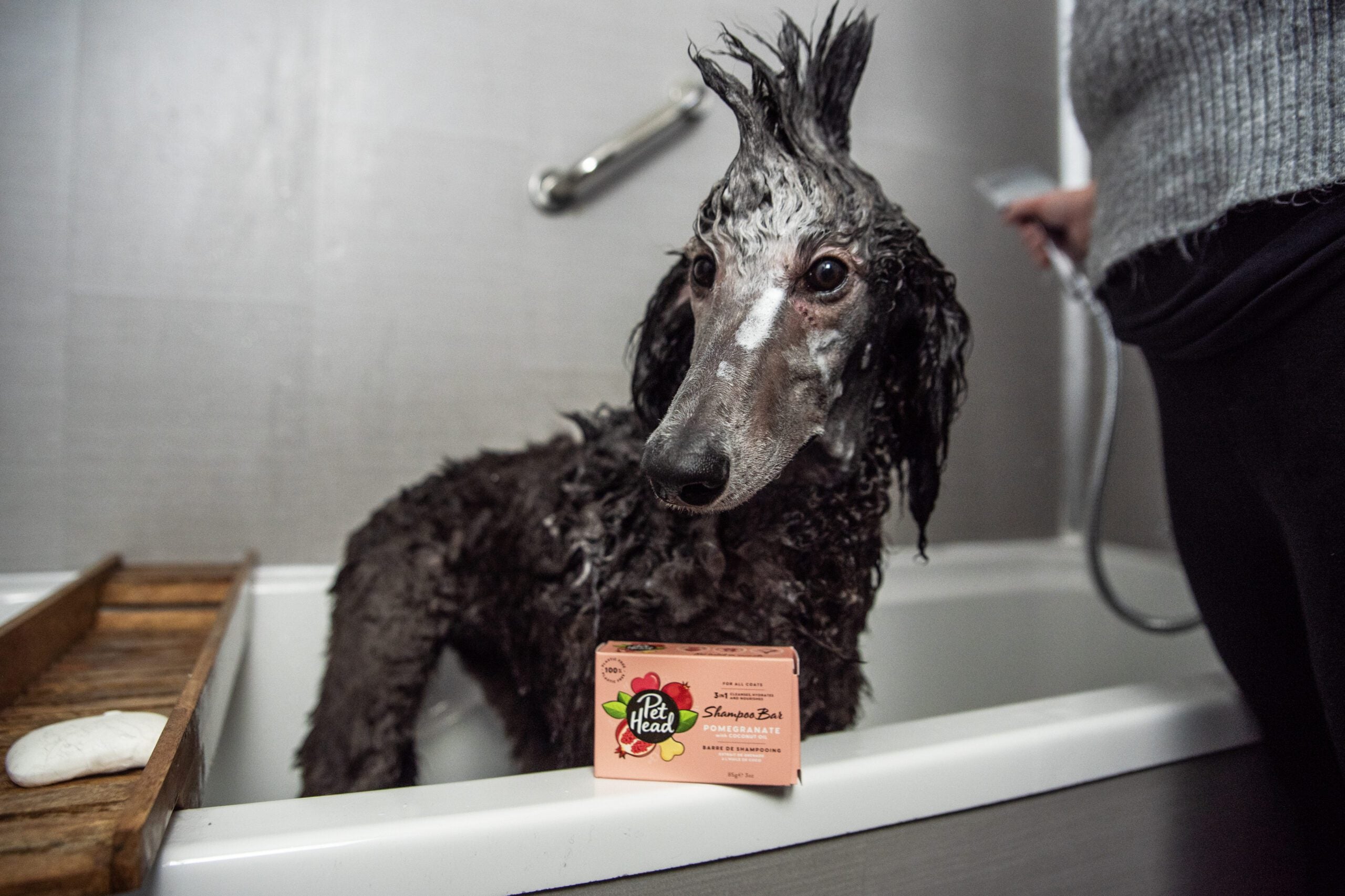 Pet Head 3-in-1 Shampoo Bar (Pomegranate, 85g)