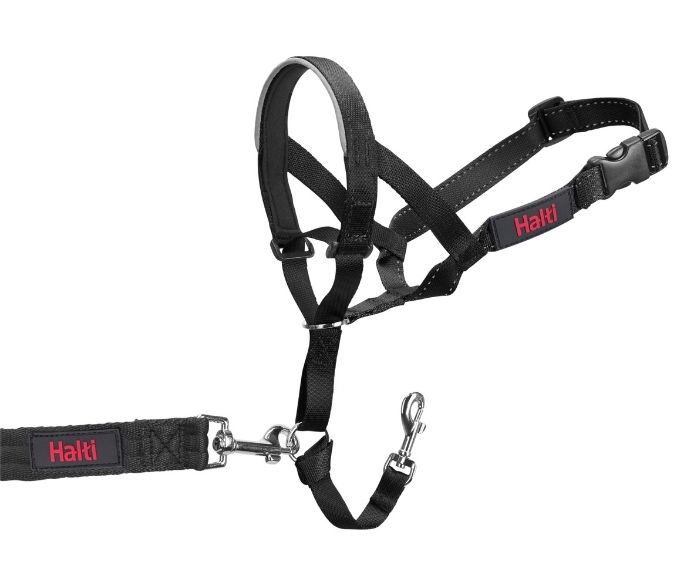 Halti Headcollar (Black, Size 4)
