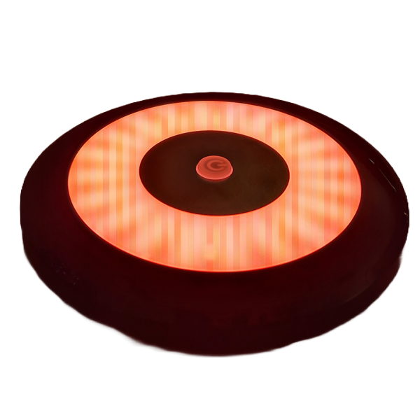 Flex Interior LED Light