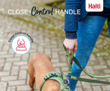Halti Active Bungee & Hands-Free Lead (Black, Large)