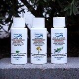 Crystal Aire Crystal Rain, Lavendar and Wild Forest Air Purifier Concentrates - 3 Pack (30ml)