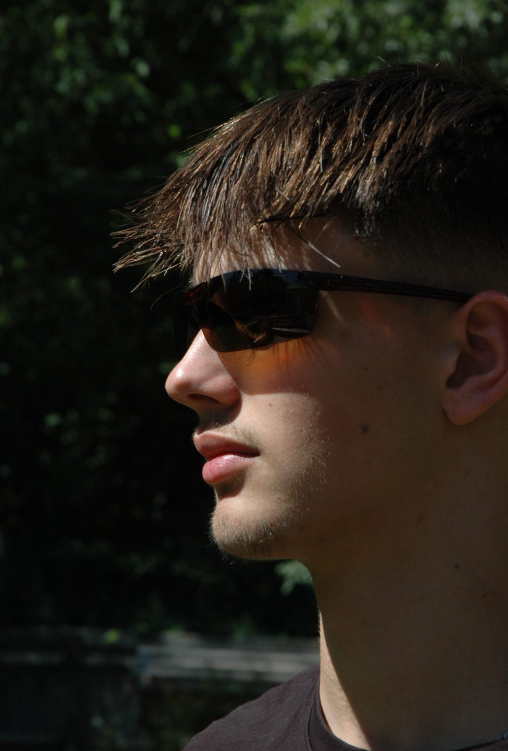 Ocean (Tortoise) - Image 4