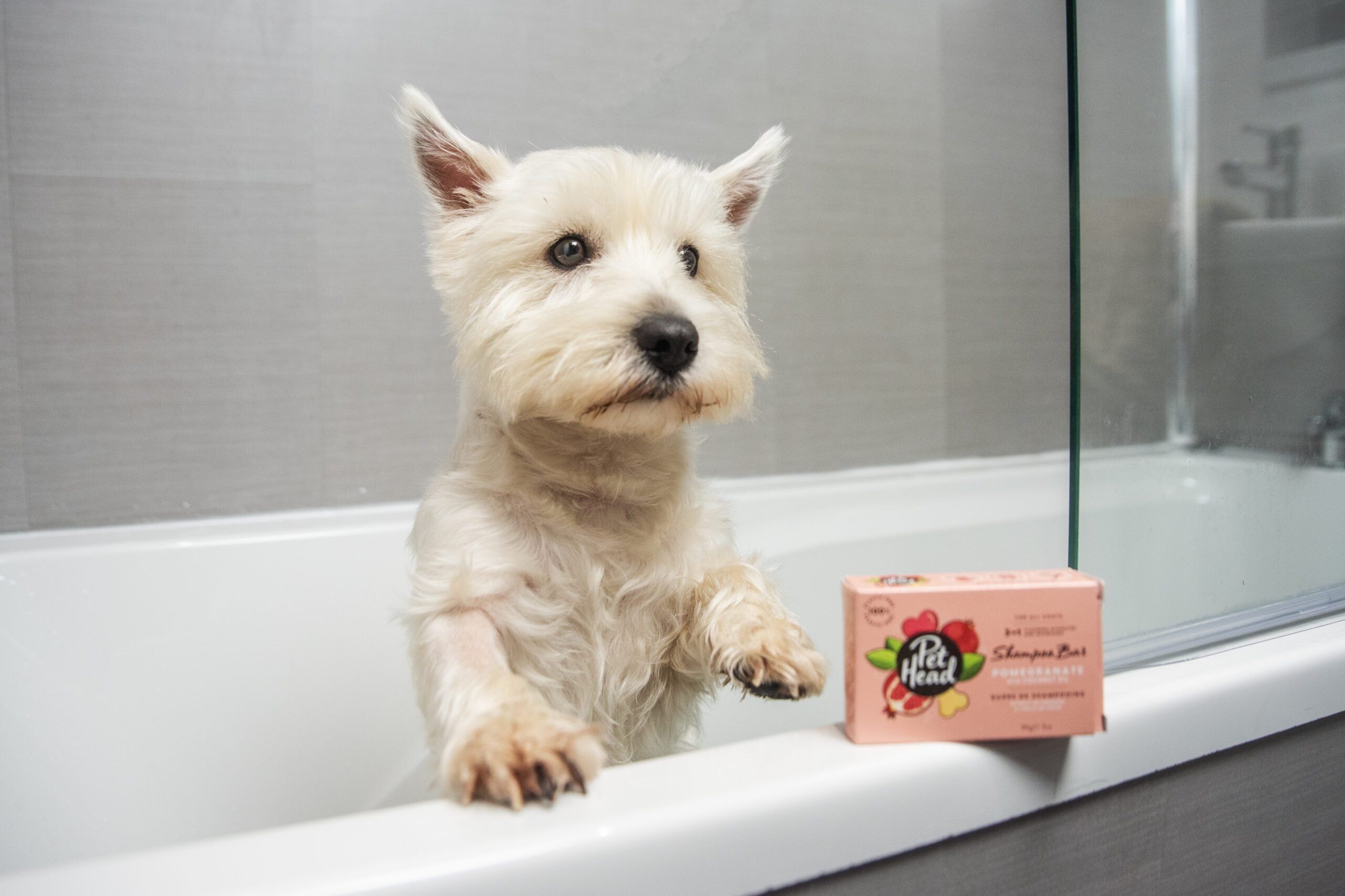 Pet Head 3-in-1 Shampoo Bar (Pomegranate, 85g)