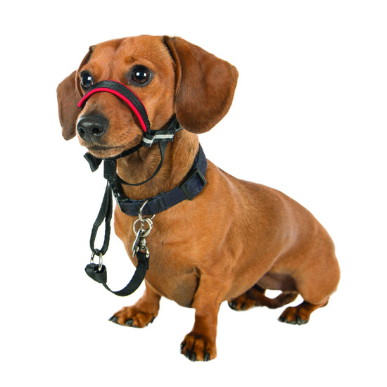 Halti Optifit Headcollar (Black/Red, Small)