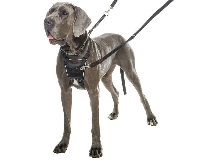 Halti No Pull Harness (Black, Medium)