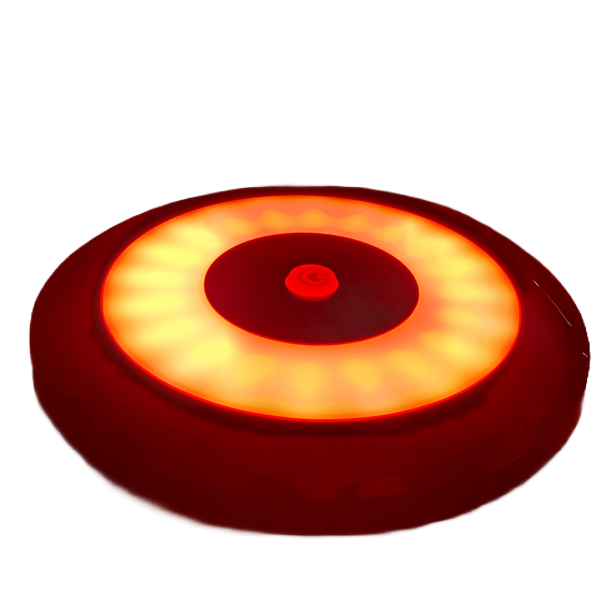 Flex Interior LED Light