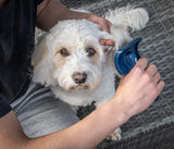 Doodles Grooming Kit - Image 5