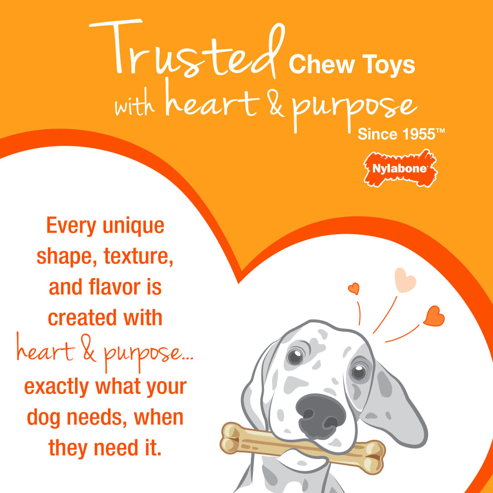 Nylabone Puppy Starter Kit Chew & Toy (3-pack, Small)