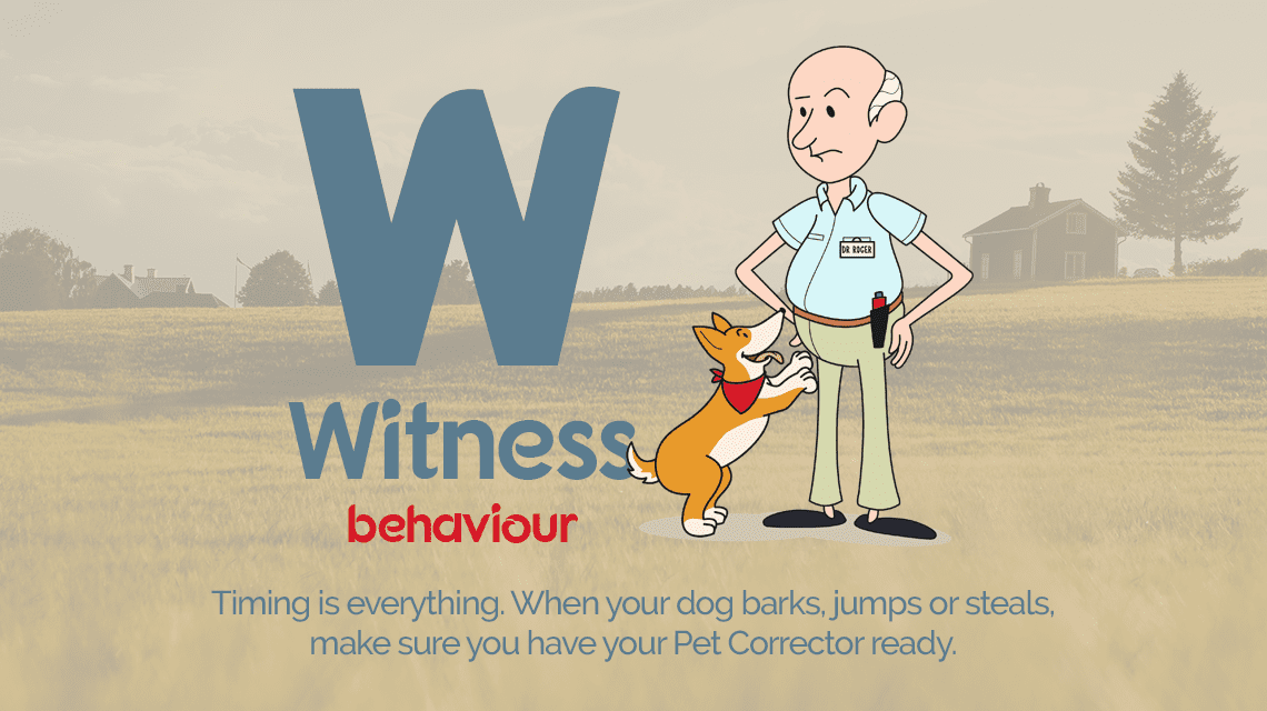 Witness undesirable behaviour