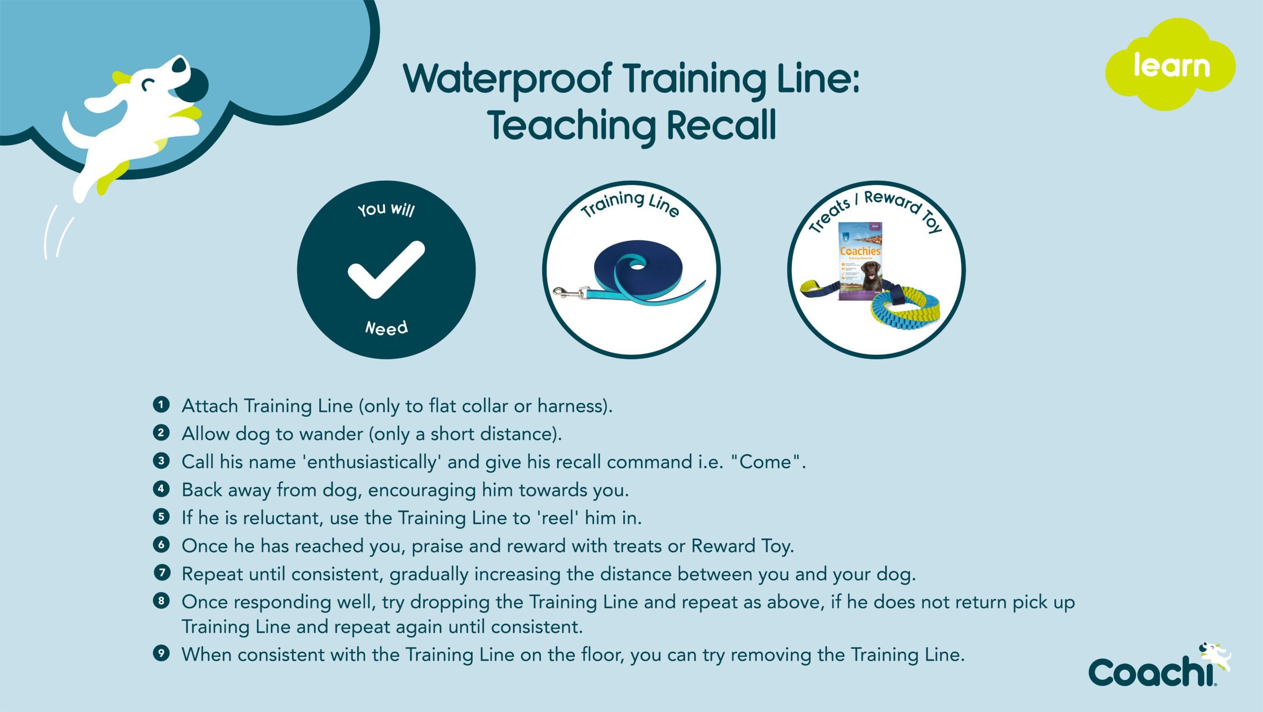 waterproof training line - teaching recall