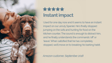 Customer testimonial - Instant impact
