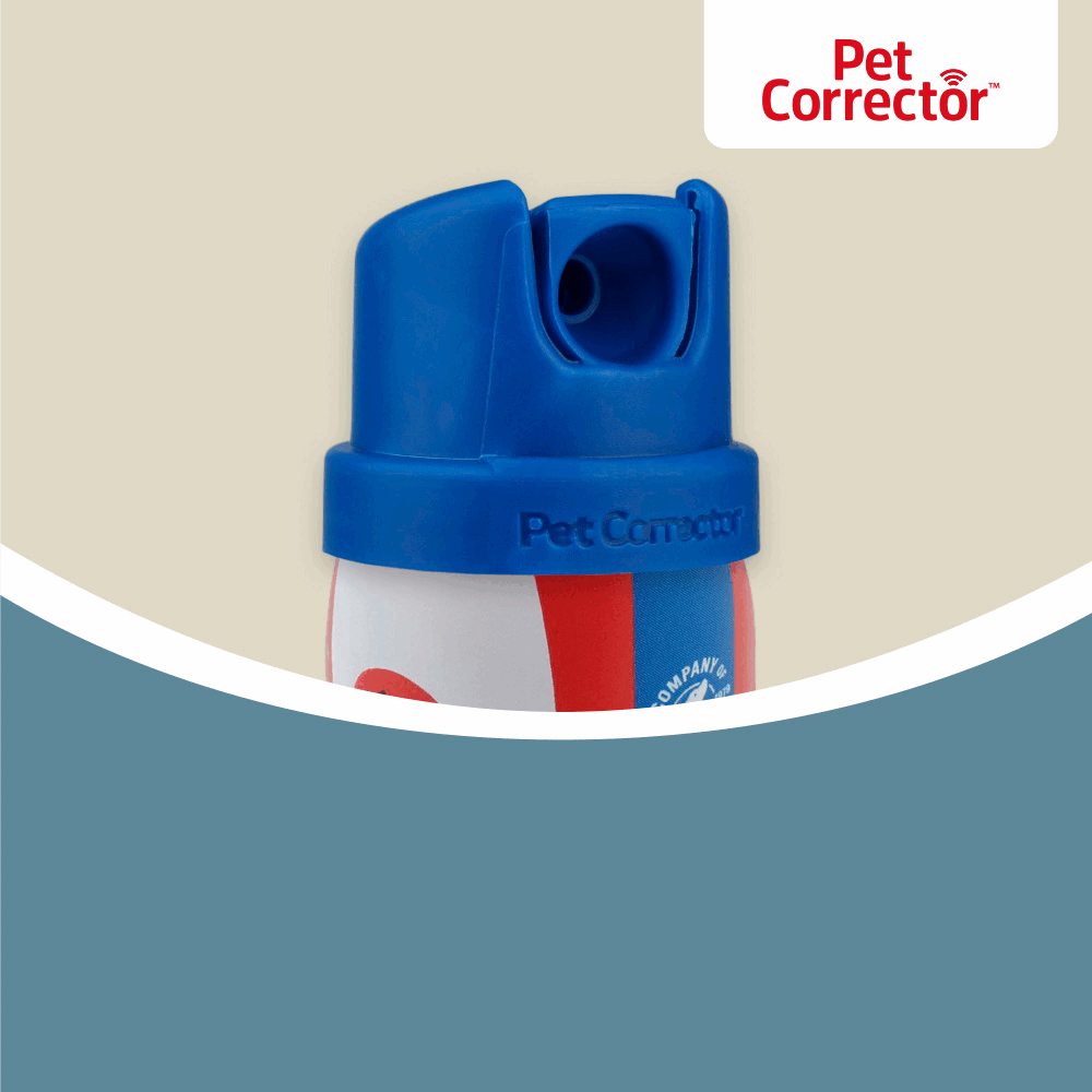 Company of Animals Pet Corrector Spray (New Nozzle, 50ml)