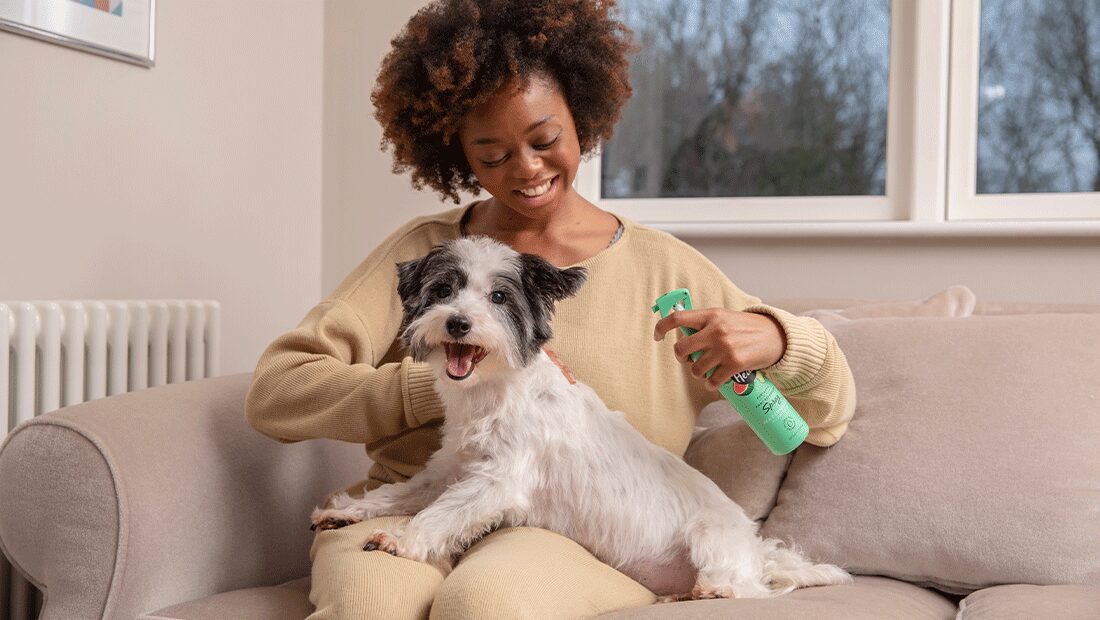 Happy owner laughing with her Terrier while spraying Furtastic spray on him
