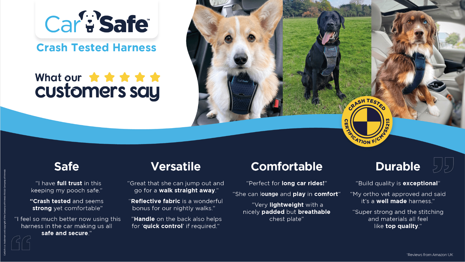 Company of Animals CarSafe Crash-Tested Harness (Blue, Small)