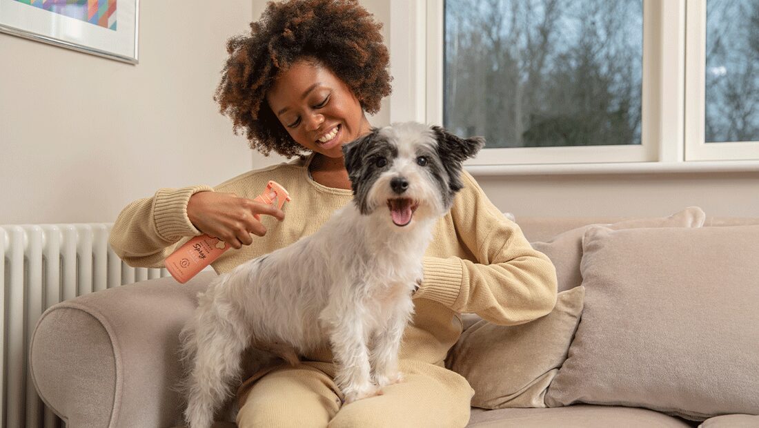 Lady applying Quick Fix Shampoo to her Terrier