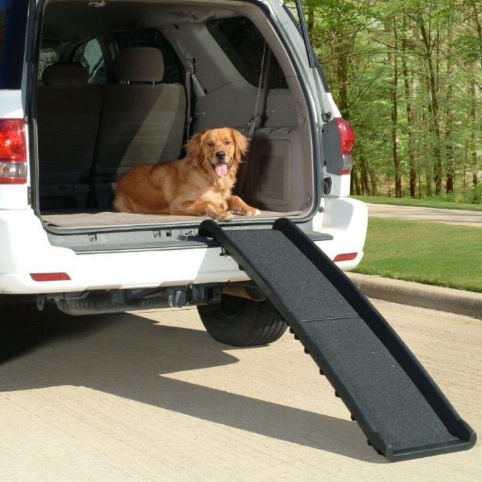 Cosmic Pets Folded Plastic Pet Ramp - Extendible - product in use