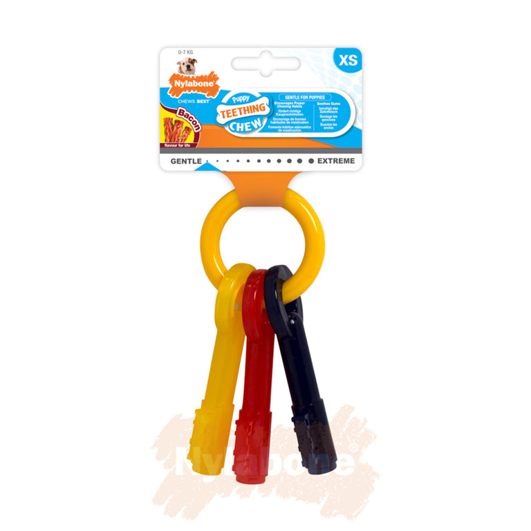 Nylabone Puppy Teething Keys Chew (Bacon, X Small)