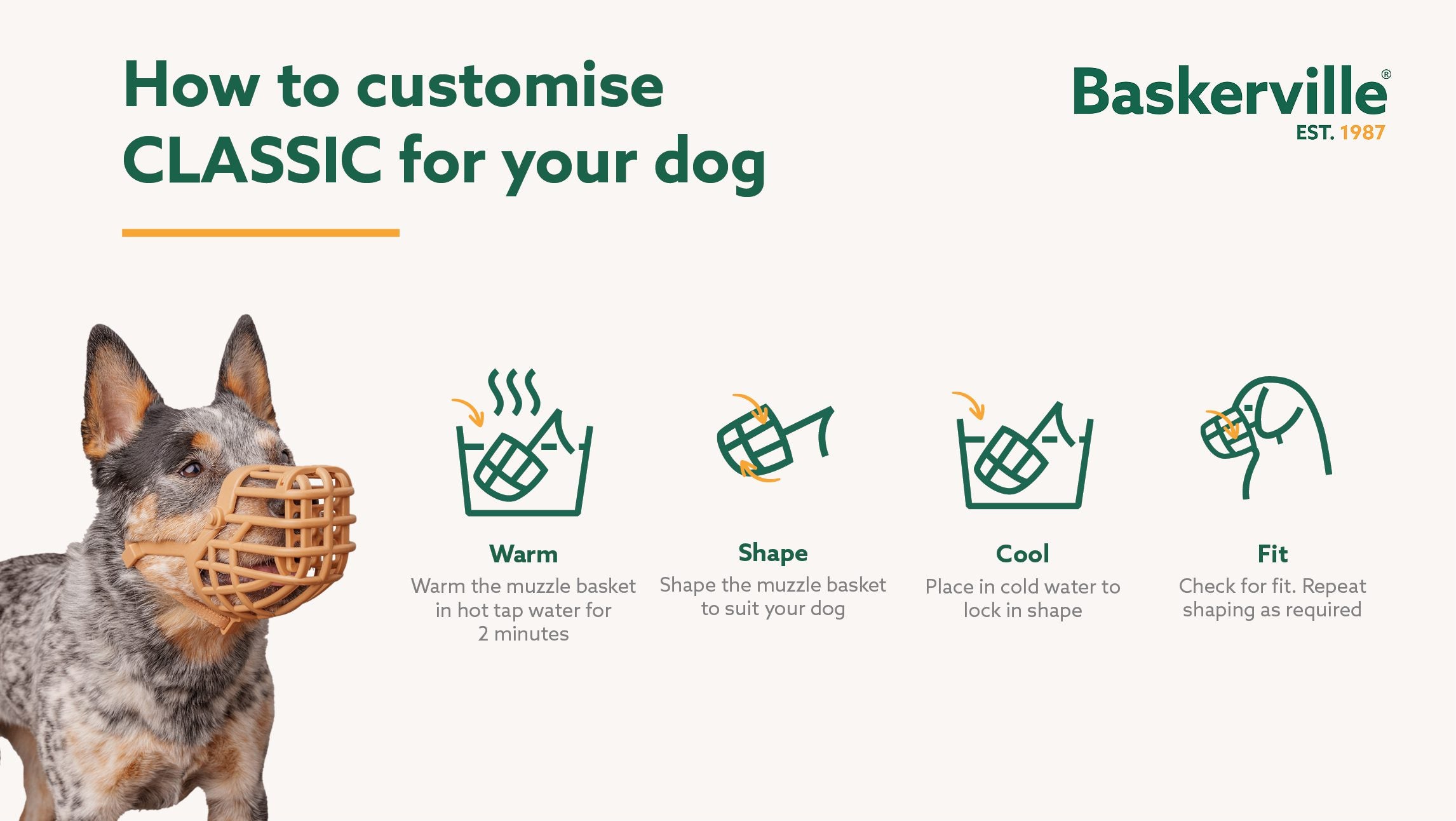 Company of Animals Baskerville Classic Basket Muzzle (Size 6, Beagle)