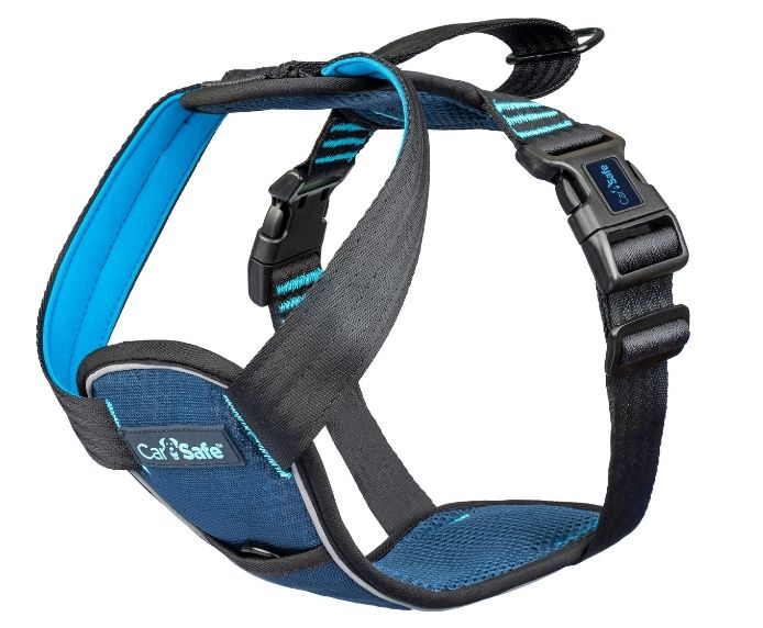 Company of Animals CarSafe Crash-Tested Harness (Blue, Large)