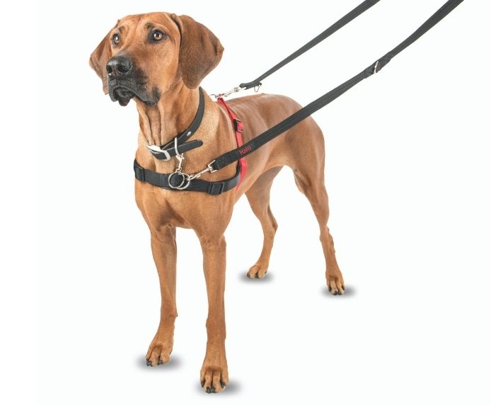 Halti Front Control Harness (Black/Red, Medium)