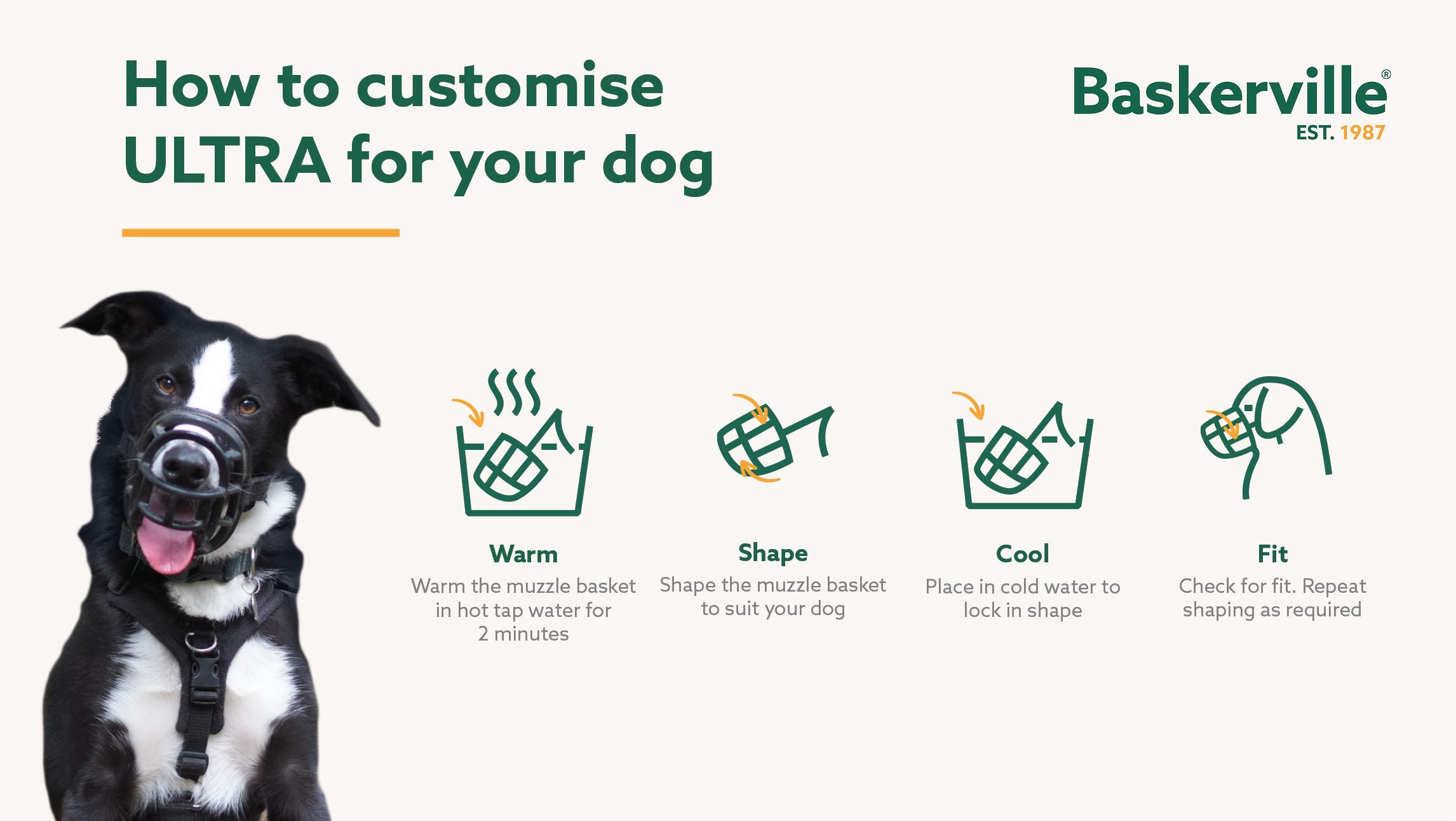 Company of Animals Safe and Secure Muzzle (Size 2)