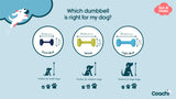 Company of Animals Coachi Training Dumbbell (Light Blue, Large)