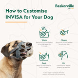 Company of Animals Baskerville Invisa Muzzle (Size 6)