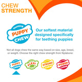 Nylabone Puppy Starter Kit Chew & Toy (3-pack, Small)