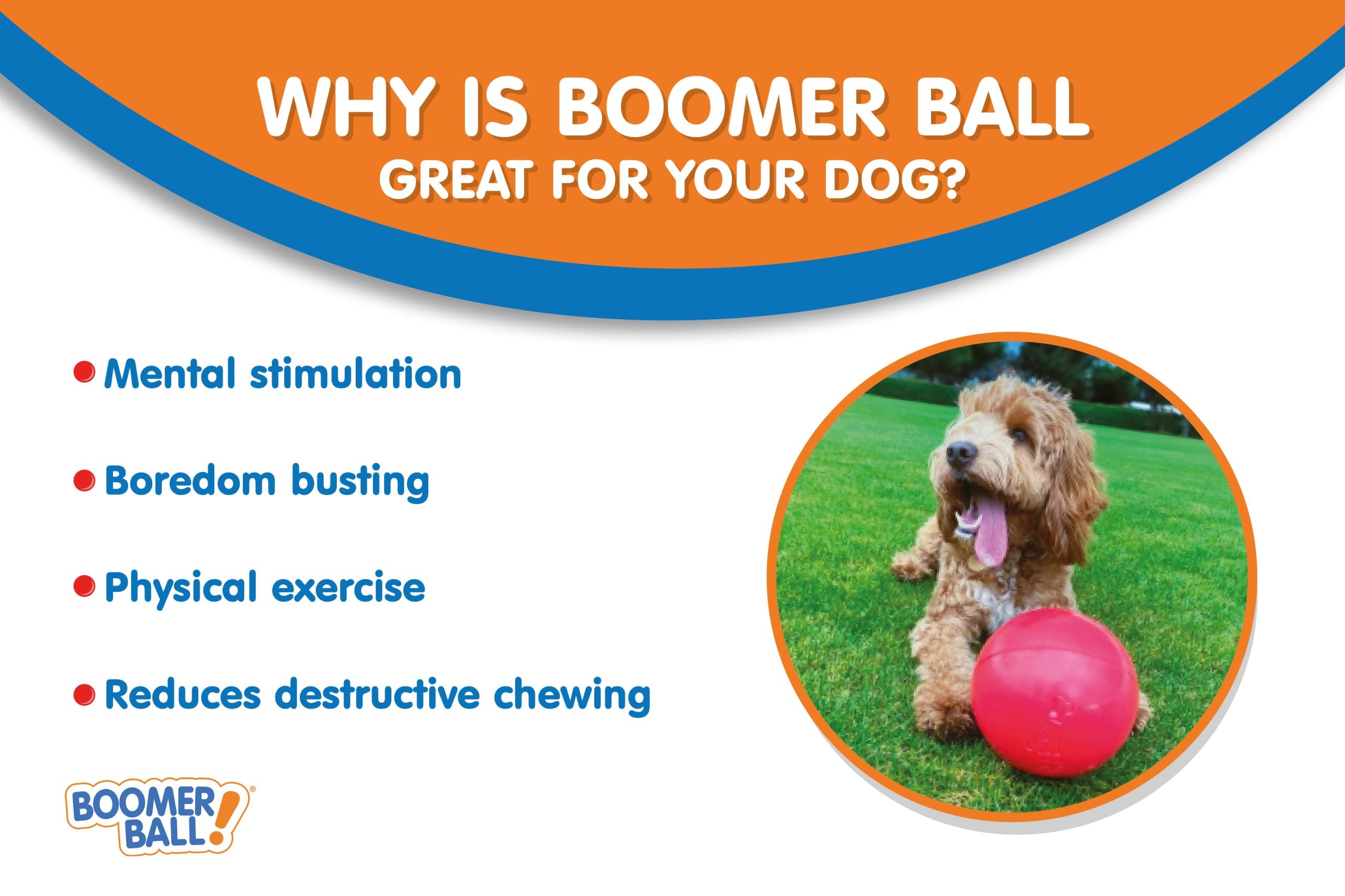 Company of Animals Boomer Ball (200mm, 8")